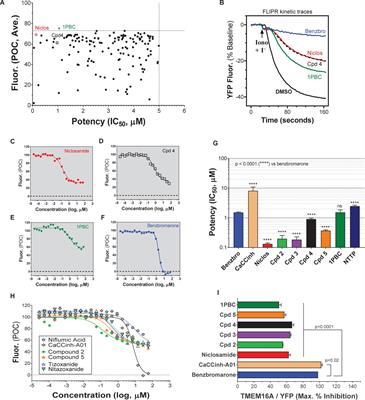 Drug Repurposing: The Anthelmintics Niclosamide and Nitazoxanide Are Potent TMEM16A Antagonists That Fully Bronchodilate Airways